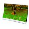 Wandkalender personalisiert