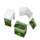 Promotionstand Eco