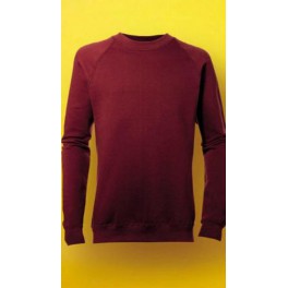 Kids' Raglan Sweat